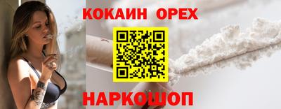 дмт Тара