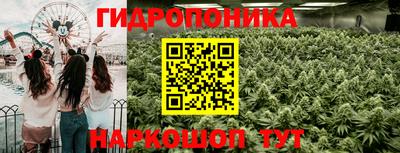 дмт Тара