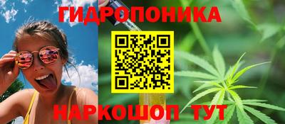 дмт Тара