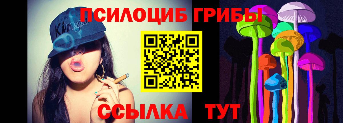 Галлюциногенные грибы мицелий  Псилоцибиновые грибы Psilocybe  Одинцово  Вход с VPN 